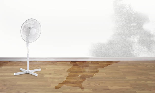 Best Flooded house restoration  in Moorpark, CA