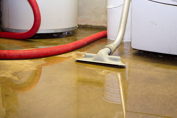 Best Water damage cleanup near me  in Moorpark, CA