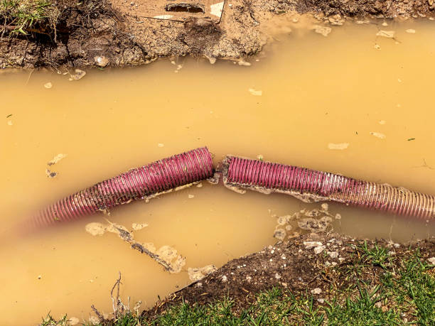 Best Water damage restoration near me  in Moorpark, CA