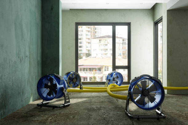  Moorpark, CA Water damage restoration Pros