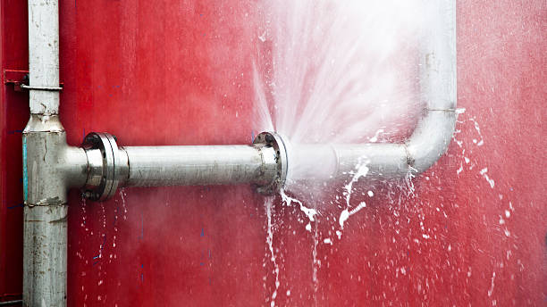 Best Professional water damage repair  in Moorpark, CA